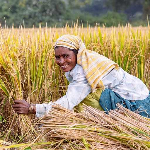 Best Spices in Kerala